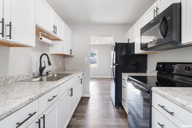 7411 Cedar St, Davenport, IA 52806 - photo 6