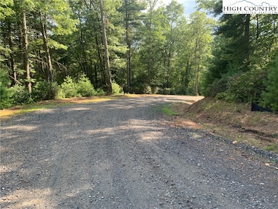 Lot #67 Autumn Fern Trail, West Jefferson, NC 28694 - photo 4