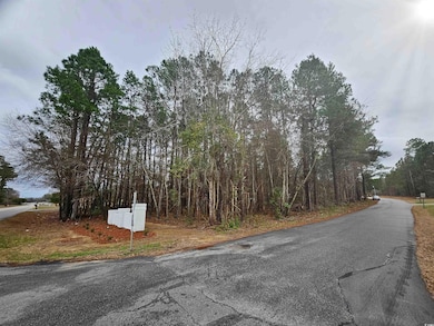 Lot 1 C Peach Tree Rd, Marion, SC 29571 - photo 2