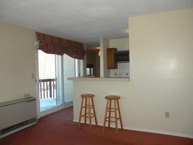 27 Nature Trail Rd unit 201, Richmond, VT 05477 - photo 6