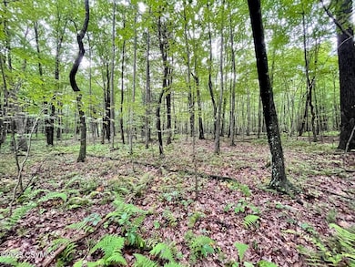 20230814235647455086000000-o