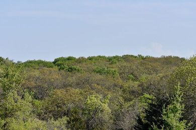 Tbd Fm 51, Decatur, TX 76234 - photo 6