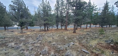 Unit 1 Lot 16 Lake Shore Dr unit 1, Weed, CA 96094 - photo 7