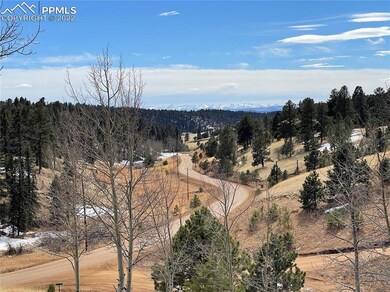 991 Twin Lakes Dr, Divide, CO 80814 - photo 3
