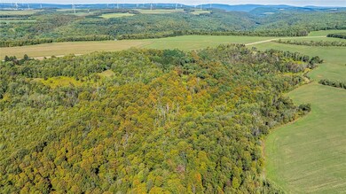 10373 Lookout, Prattsburgh, NY 14873 - photo 5