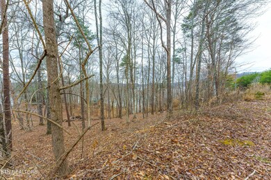 _DSC8603-Edit