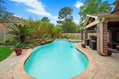 11807 Rue Saint Honore Ct, Tomball, TX 77377 - photo 2