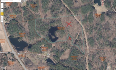 0 Eagle Nest Rd, Coxsackie, NY 12058 - photo 5