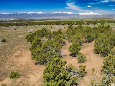 7000 E 110000 N, Spring City, UT 84662 - photo 3