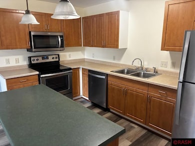 1850 Macintosh Ct, St. Peter, MN 56082 - photo 7