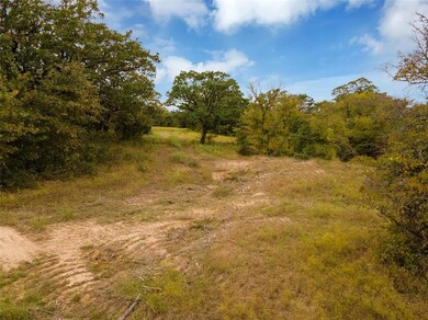 Lot 3 Texas 114, Paradise, TX 76073 - photo 3