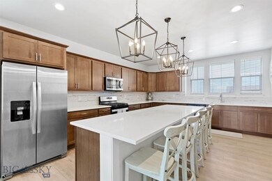 Stainless appliances including gas rangr
