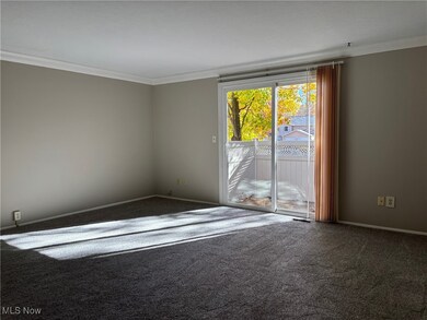 3869 Lake Run Blvd, Stow, OH 44224 - photo 5