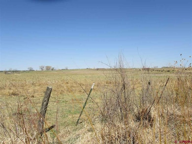 TBD Road L (114 26 Ac), Cortez, CO 81321 - photo 7