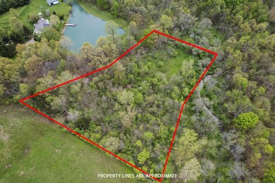 5141 Carters Corner Lot Picture 2