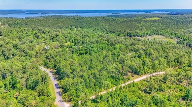 Dell Rd, Bainbridge, GA 39819 - photo 4