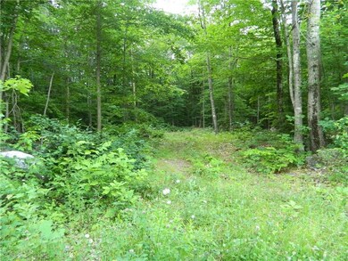 0 Moffet Ln unit 1271535, Cornish, ME 04020 - photo 4