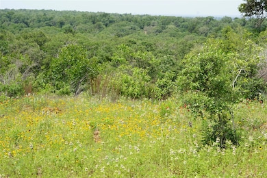 View of tree filled area