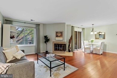 1704 Mount Washington Ct unit H, Baltimore, MD 21209 - photo 5