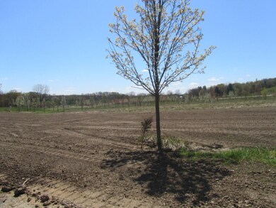 Golden Valley lot 6 2