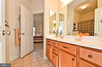 6701 Sandy View Ct, Laurel, MD 20707 - photo 5