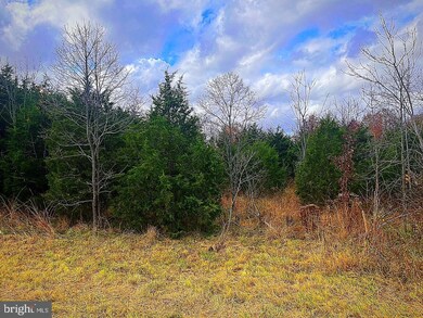 0 James Madison Hwy unit VAFQ2006766, Bealeton, VA 22712 - photo 3