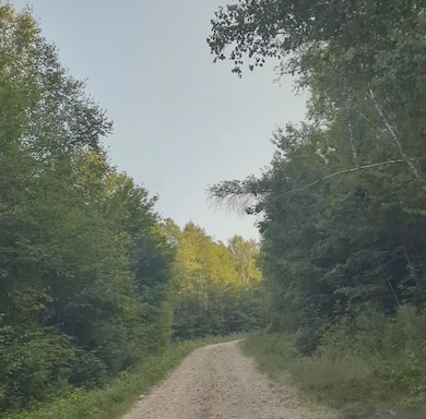 174 Saunders Rd, Woodstock, ME 04219 - photo 4