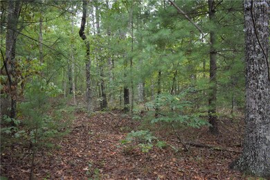 00 Coyote Ridge, Walhalla, SC 29691 - photo 4