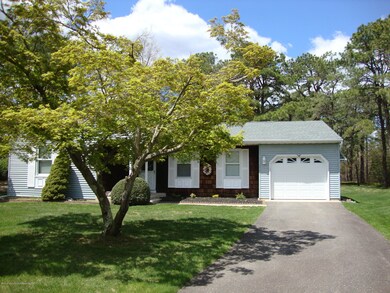 4 Alder (2)