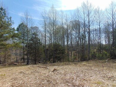 7.87 AC Paran Rd, Cookeville, TN 38506 - photo 2