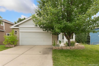 1125 Canvasback Dr, Fort Collins, CO 80525 - photo 3