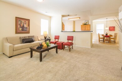 1633 Terra de Sol -7