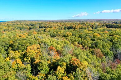 0 Gibraltar Bluff Rd, Gibraltar, WI 54212 - photo 7