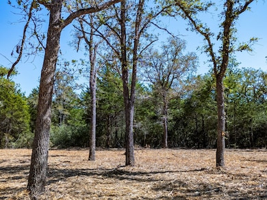 12345, Somerville, TX 77879 - photo 3