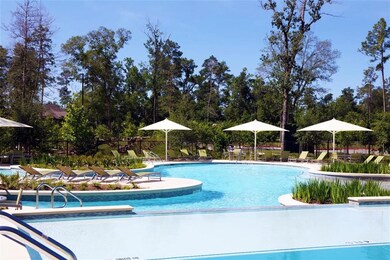 28315 Emerald Bend, Spring, TX 77386 - photo 5