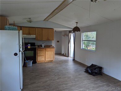 135 E Pilar St, Hernando, FL 34442 - photo 6