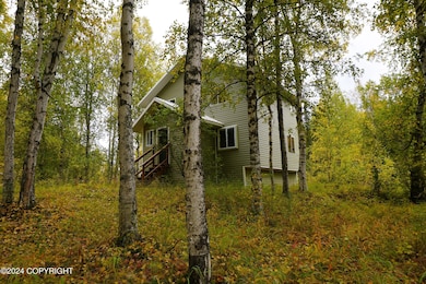 Birch & Cabin