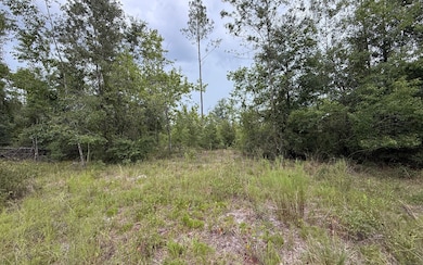 TBD 211th Ct, Live Oak, FL 32060 - photo 2