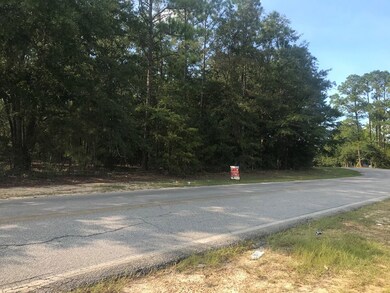 0 Shirley Dr, Vidalia, GA 30474 - photo 2