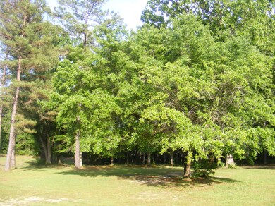 View of Trees on the Property
