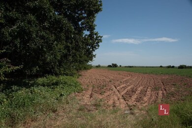 Union Valley Rd, Terral, OK 73569 - photo 2