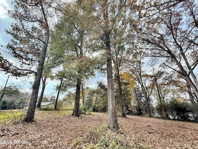 0 S Lee St, Forsyth, GA 31029 - photo 2