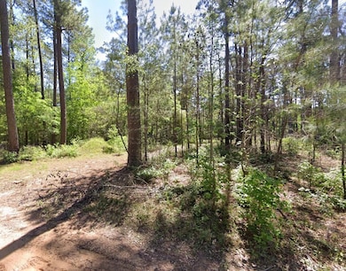 Joe Myers Rd, Livingston, TX 77351 - photo 3