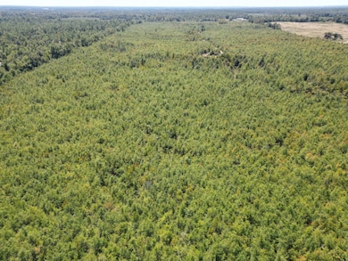 0 Black Rd unit 24725300, Marianna, FL 32446 - photo 4