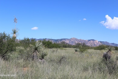 TBD E Naiche Rd unit 56, Saint David, AZ 85630 - photo 3
