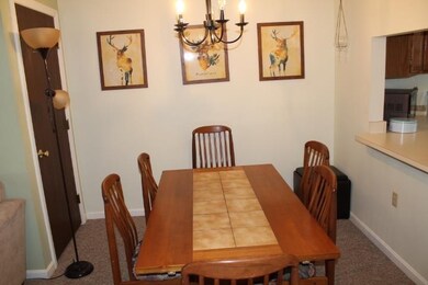 9 Jackson Dr unit 153, Woodstock, NH 03262 - photo 3