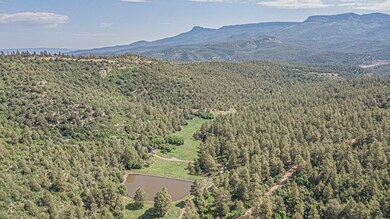 33089 Lodgepole Trace, Trinidad, CO 81082 - photo 7