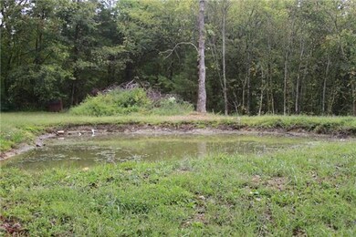 Nice little pond.