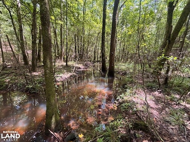 000 Pebble Cove Rd, Abbeville, AL 36310 - photo 4