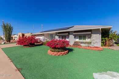 11046 W Campana Dr, Sun City, AZ 85351 - photo 3